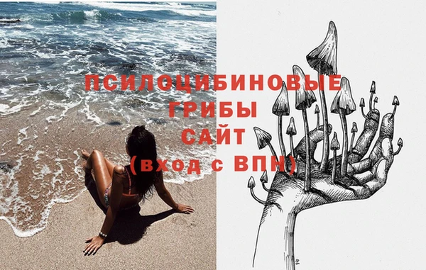 шишки Киреевск