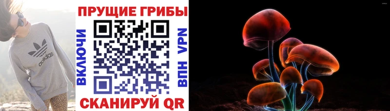 Псилоцибиновые грибы MAGIC MUSHROOMS  Купить закладки  Киселёвск 
